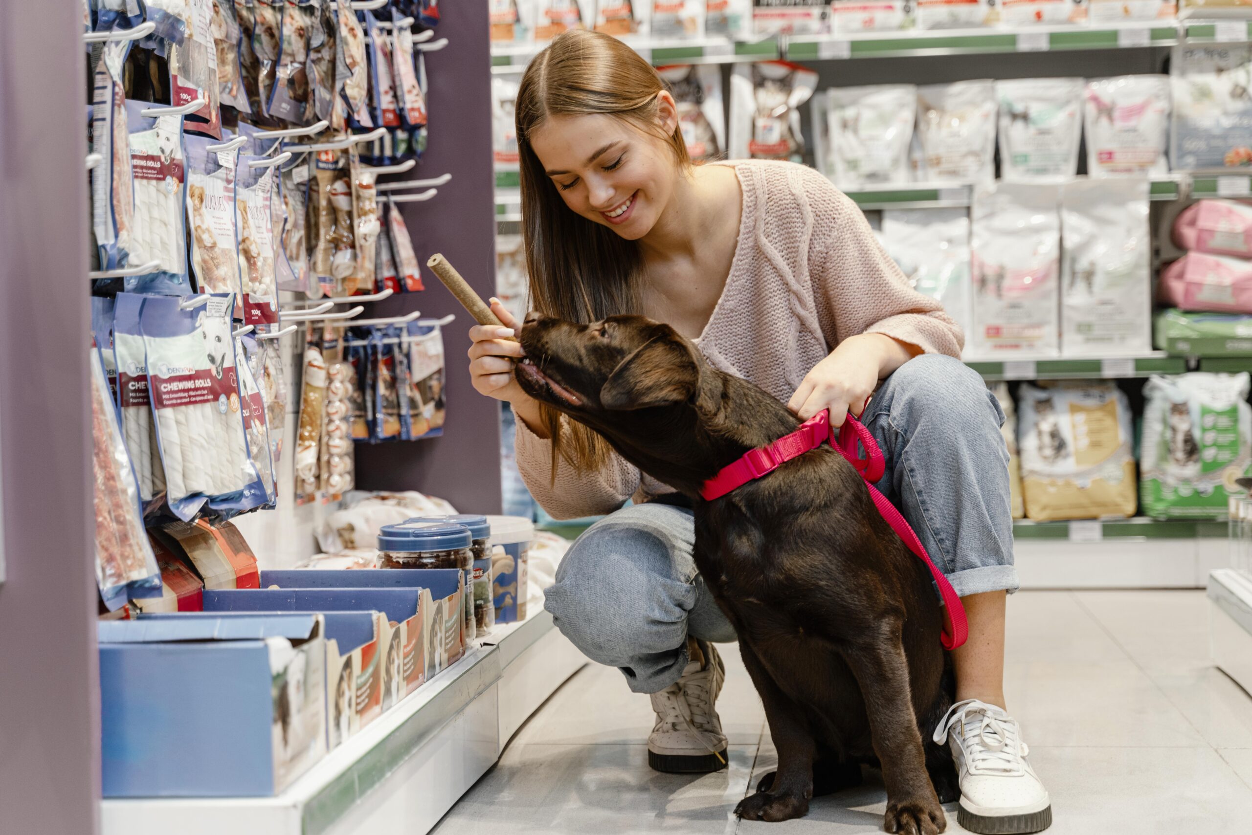 adorable dog with owner pet shop